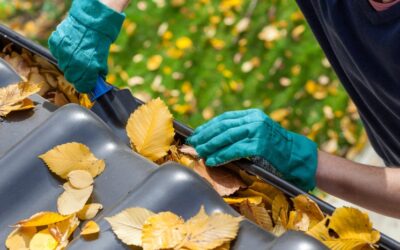 Pourquoi faire le nettoyage de ses gouttières sur la Côte d’Opale
